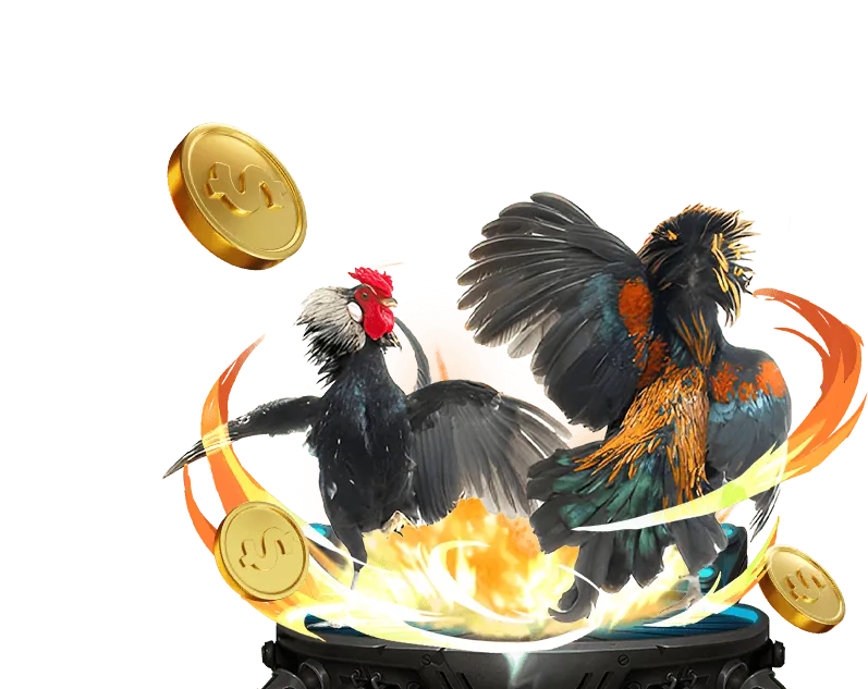 Phân tích chuyên sâu đá gà tre Mỹ